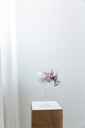 Stilllife aus dem STAATSTHEATER AUGSBURG, hier wurde eine Dokumenation der Sanierung fotogafiert.