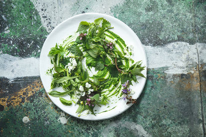 Tabletop Foodfotografie eines Wildkräutersalates aus dem Buche Wilde Stadt fotografiert von Julia Schmidt von JUNI Fotografen, Buch und Konzept von Anne Schmidt-Luchmann und Paul Schmidt