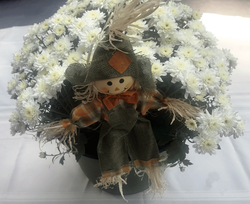 White "Mum" Arrangement (12" Round Planter w/Scarecrow)