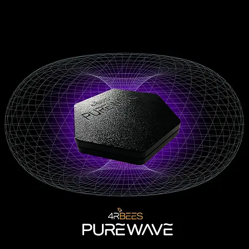 The Flower of Life Design My Mind and Body Flow