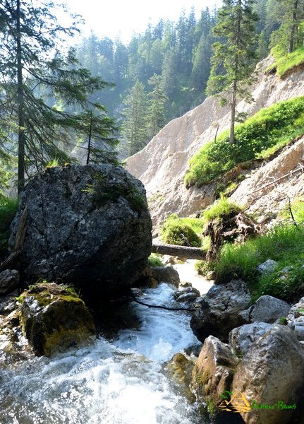 Trekking alps05.jpg