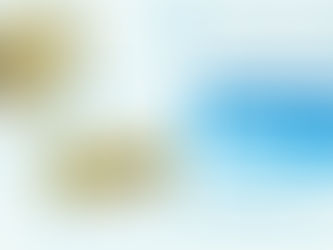 Rockwool Panels Manufacturers in India – High-Performance Insulated Panel Solutions for Controlled Environments