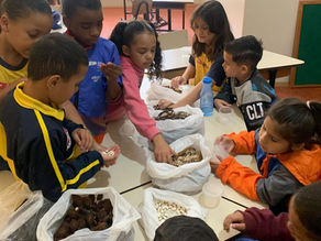 Seed Recognition Workshop 🌱