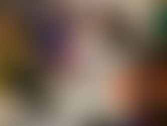 Seed Recognition Workshop 🌱