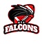 CTX_Falcons-removebg-preview.png