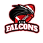 CTX_Falcons-removebg-preview.png