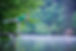 _F6C9871 2.jpe