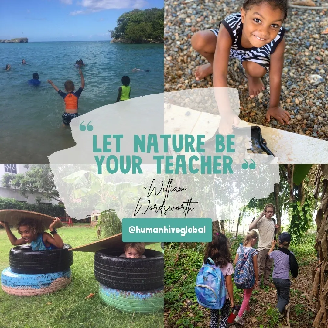 Introduction to Hive Learning November 12-19 2022, Cabrera, DR