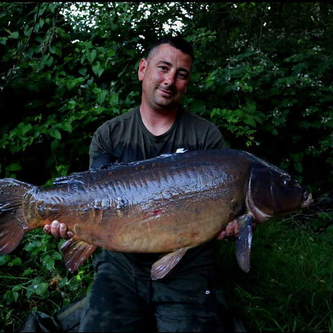Swan Valley Lake Carp Gallery