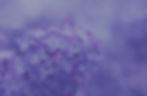 Eliza Ward, Cognitive Hypnotherapist and NLP Practitioner Camberley