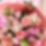 Steph Lovell Flowers