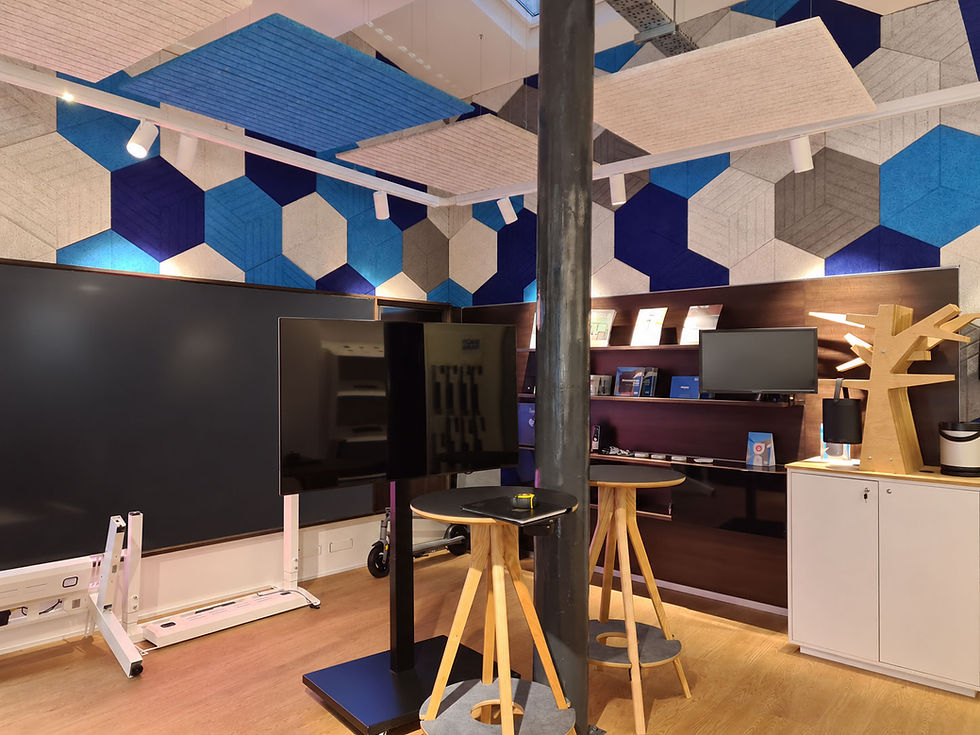 Diagnosing and fixing noise problems in open plan offices and meeting rooms.