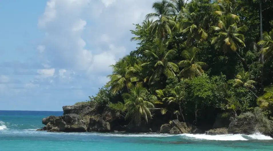 Playa Grande - local beach where you can swim, drink cocktails, and eat fresh seafood.