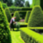 Garden Clearance Services | Green Waste Removal | JD Eco Solutions
