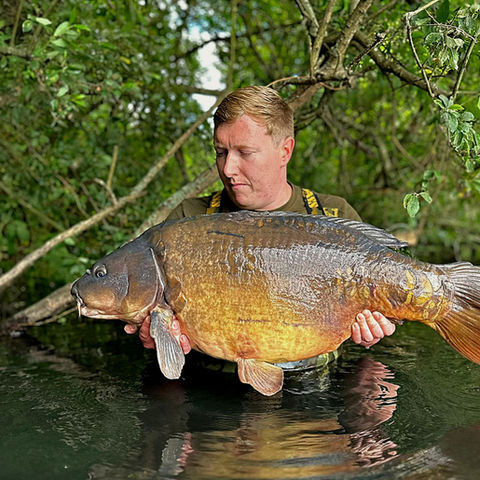 Swan Valley Lake Carp Gallery