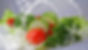 Charity Food Safety Foundation