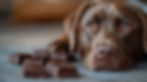 NO BULL just natural health for dogs - Potential-Dangers