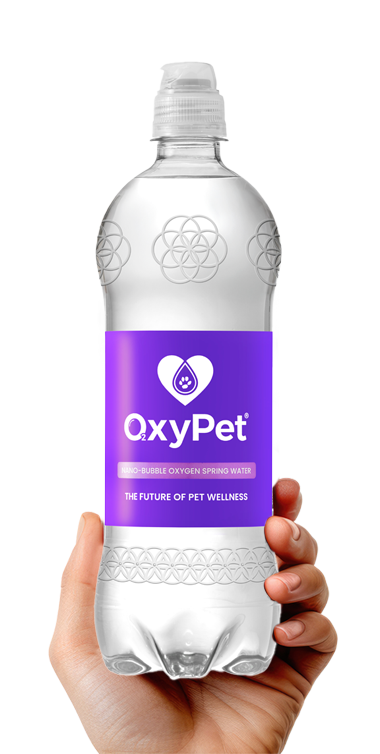 Bottle-in-hand.png