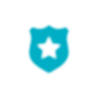 AY AVIATION SECURITY