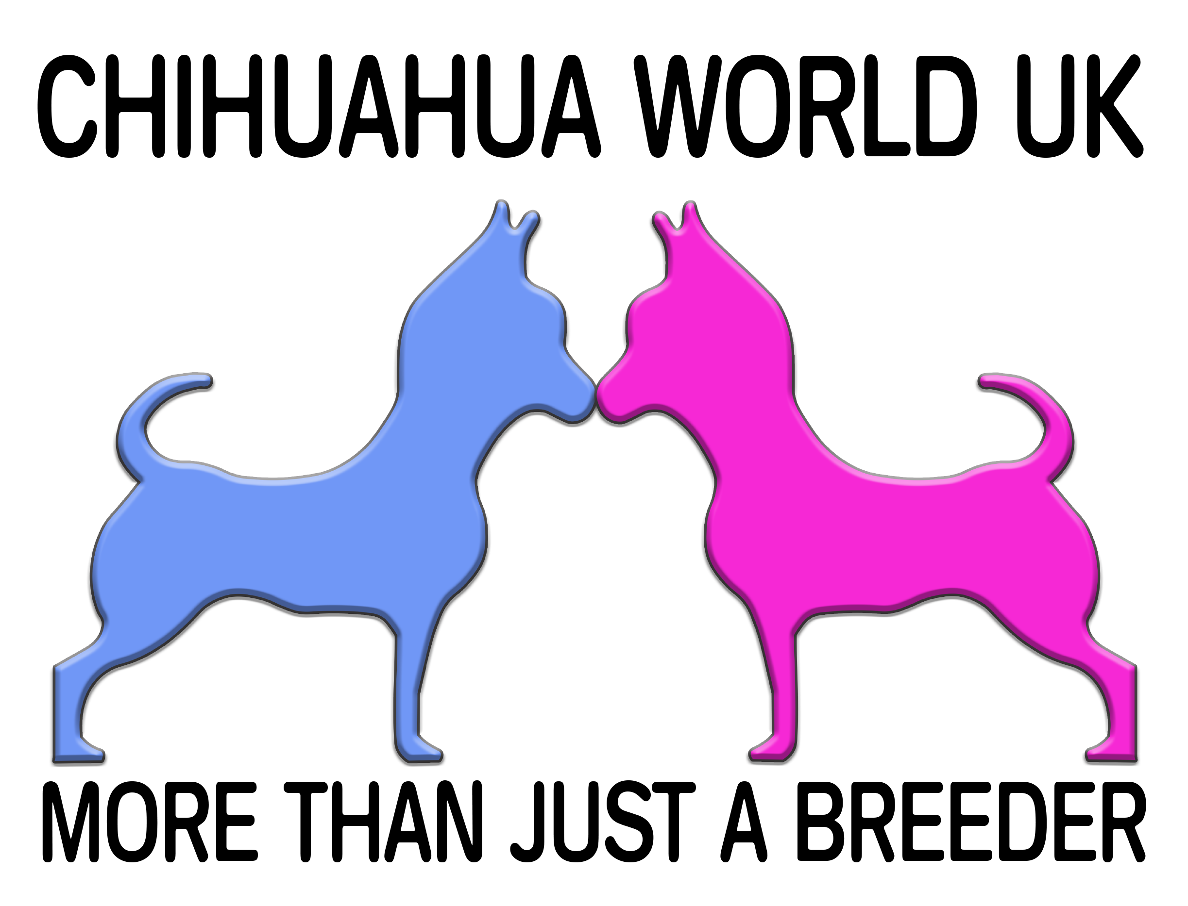 Main file.png