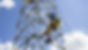 Working at Height