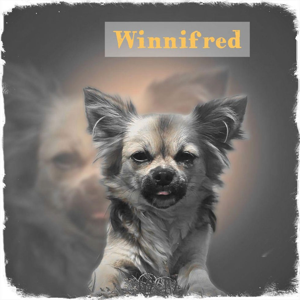 Winnifred