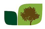 mini-logo Elmbank
