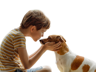 How do pets, especially dogs help with mental health