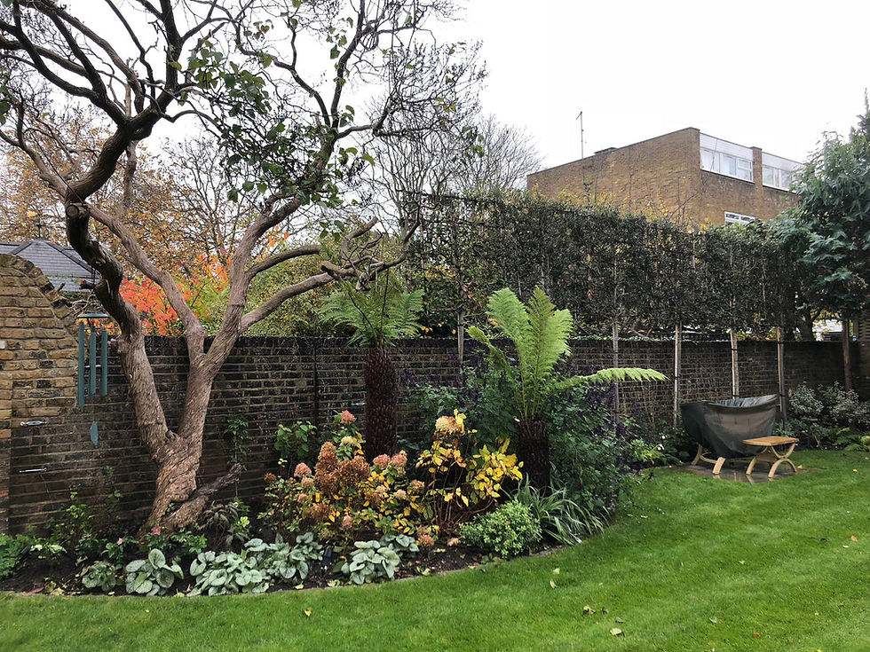 PLANTING SERVICES JW LANDSCAPES