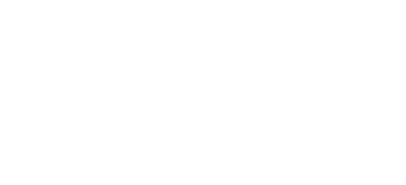 The Chimney Lab Logo Professional Chimney Sweep in Fleet & Surrounding Areas