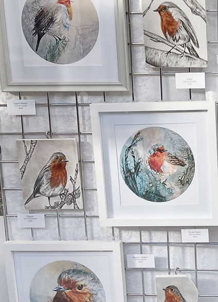 Robins in window_edited.jpg