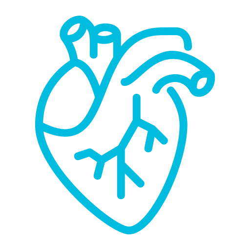 heart.png