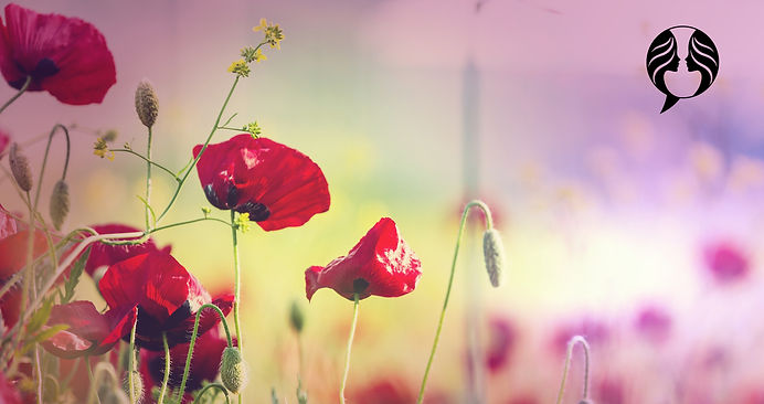 Poppies_edited.jpg