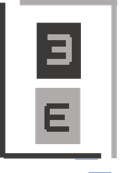 Logo grijs.png