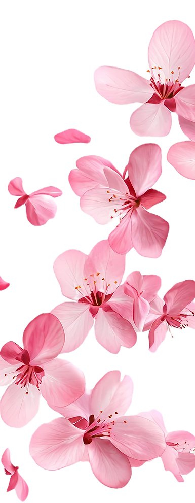 af01c37c8da6dfd3d0330a1fbdbd761e_edited.