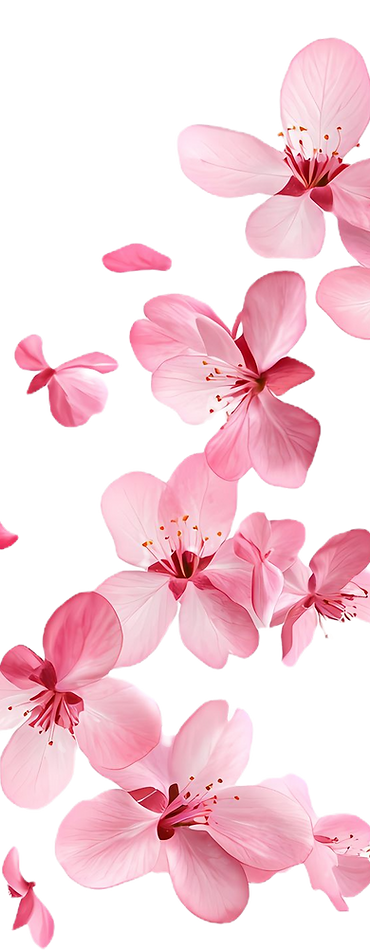 af01c37c8da6dfd3d0330a1fbdbd761e_edited.