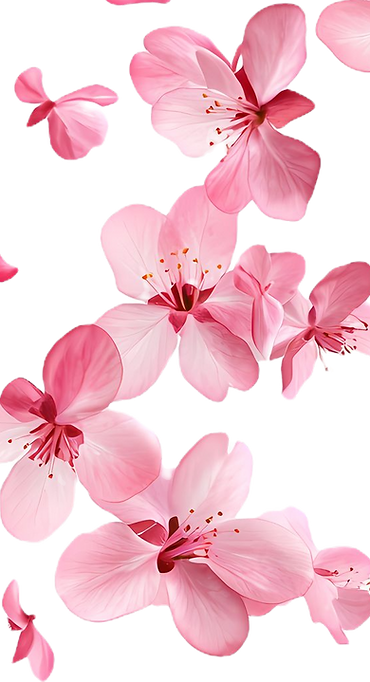 af01c37c8da6dfd3d0330a1fbdbd761e_edited.