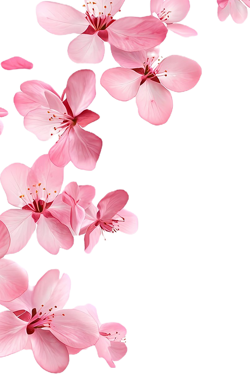 af01c37c8da6dfd3d0330a1fbdbd761e_edited.
