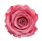 cc5dd5334d2a036070c346a83215da5c_edited.