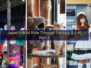 “Should We Go In?” — Discover Japan’s Whimsical World of Themed Cafés