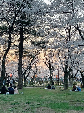 a9516831-1053-4f3b-bb02-534280b6a54c_edi