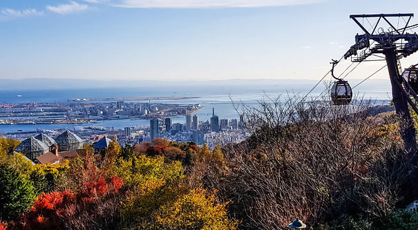 Untitled design (48)_edited.jpg