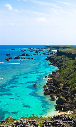 Untitled design (77)_edited.jpg