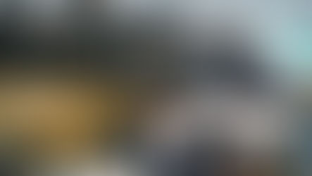 Manual de incidencia para cambiar el mundo.