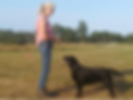 9655CD74026C4E9ABE1FC63F4C8E1706.png