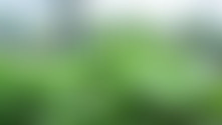 May 21st Garden Work Day: Harvesting Greens and Planting Hart House Plot.