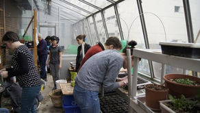 Dig In! Celebrates ECOFEST with seed planting