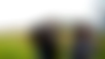 Become a volunteer Compost Coordinator with Dig In!