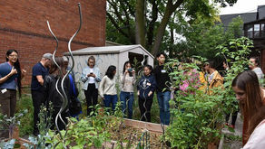 CCP Grant Reflections: Starting a Community Garden from Seed