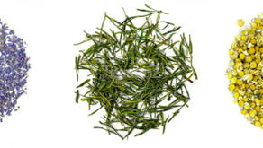 Herbal Teas To De-stress + Collard Wraps With Dairy-free Pesto Recipe